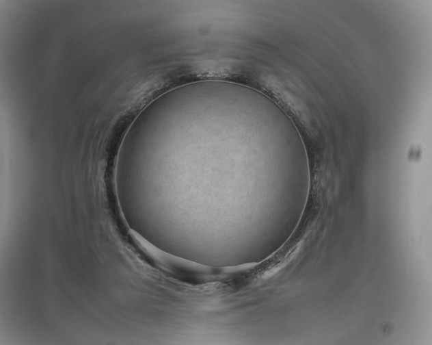 X0000097500209200802221451