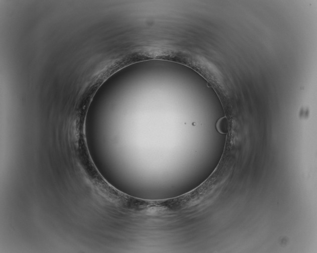 X0000097500210200802221451
