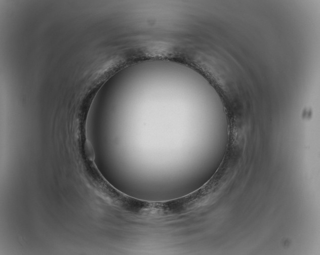 X0000097500211200802221451