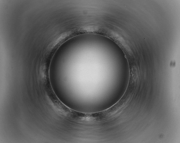 X0000097500212200802221451