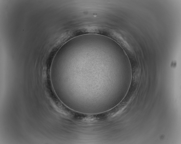 X0000097500213200802221451