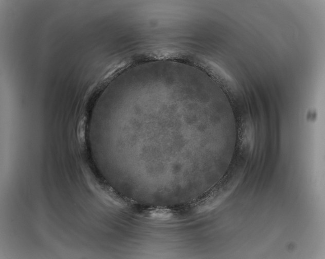 X0000097500214200802221451
