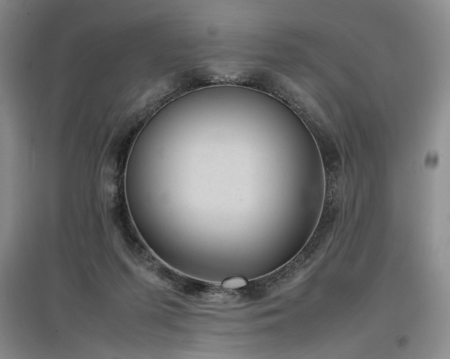 X0000097500215200802221451