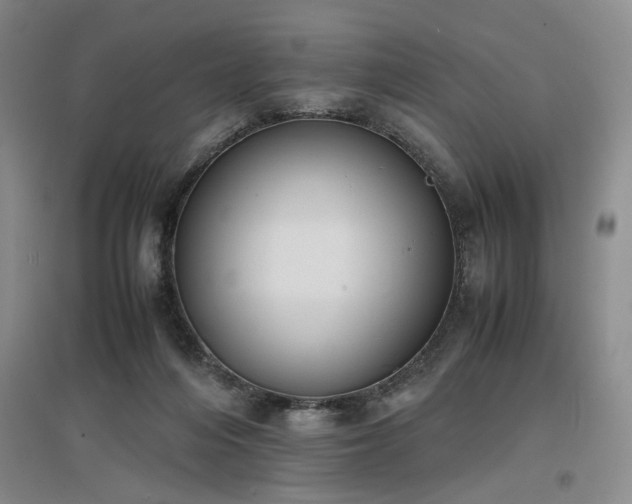 X0000097500216200802221451