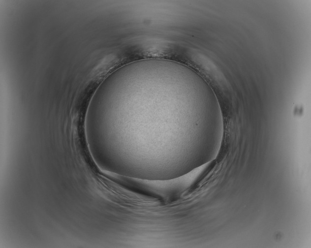 X0000097500217200802221451