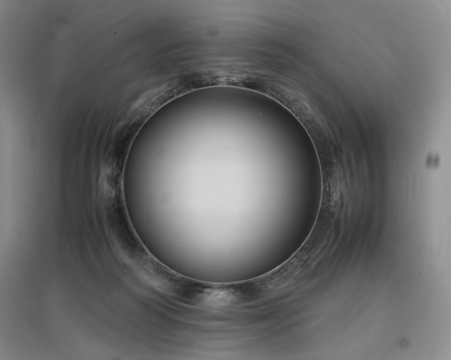 X0000097500218200802221451