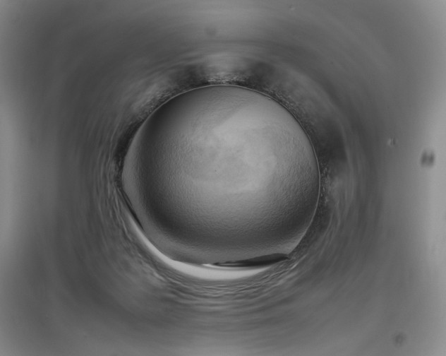 X0000097500219200802221451