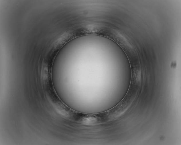 X0000097500220200802221451