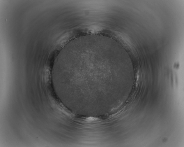 X0000097500222200802221451
