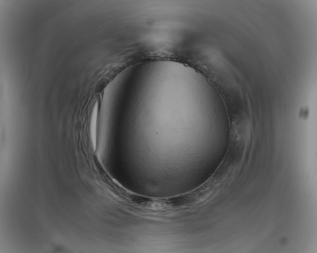 X0000097500223200802221451