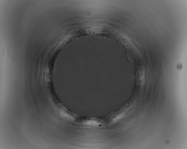 X0000097500224200802221451