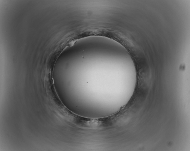 X0000097500225200802221451