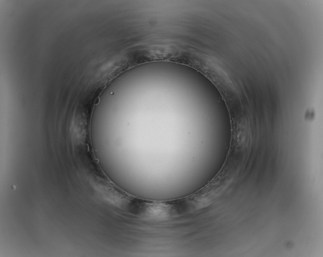 X0000097500226200802221451