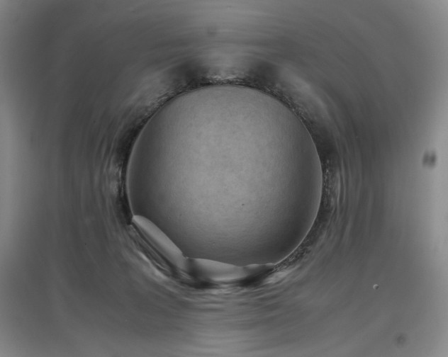 X0000097500227200802221451