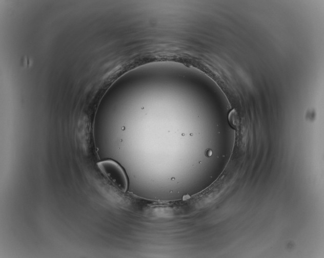 X0000097500228200802221451