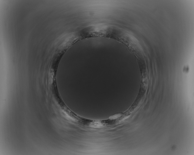 X0000097500231200802221451