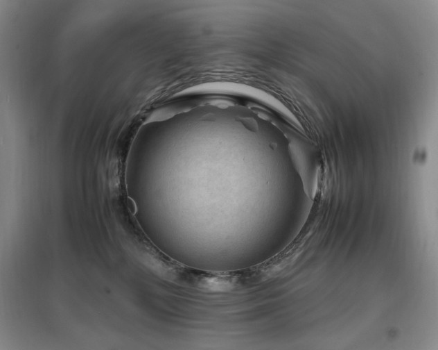 X0000097500232200802221451