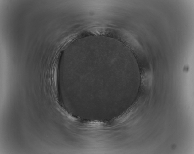X0000097500233200802221451