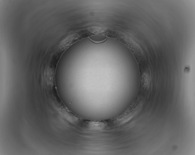 X0000097500234200802221451