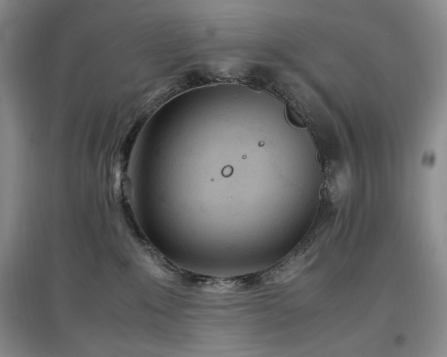 X0000097500235200802221451