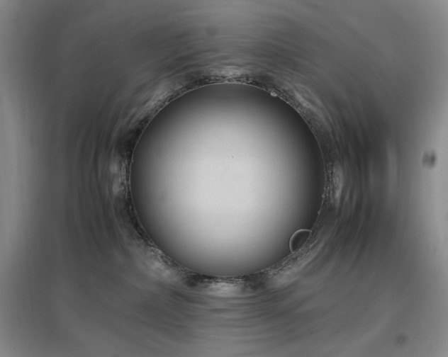 X0000097500236200802221451