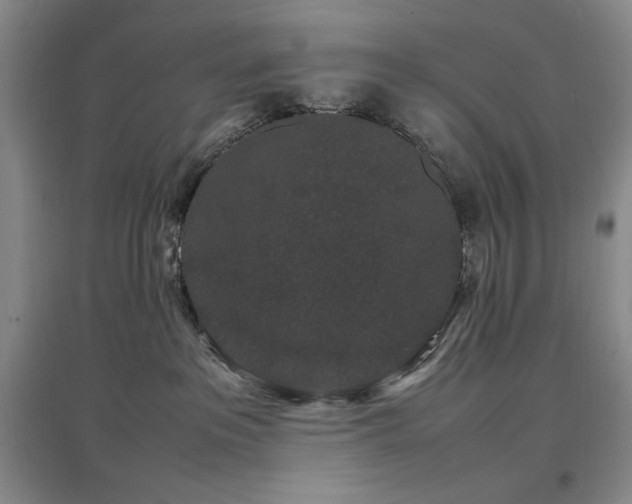 X0000097500237200802221451