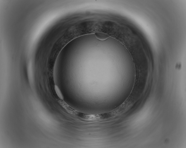 X0000097500239200802221451