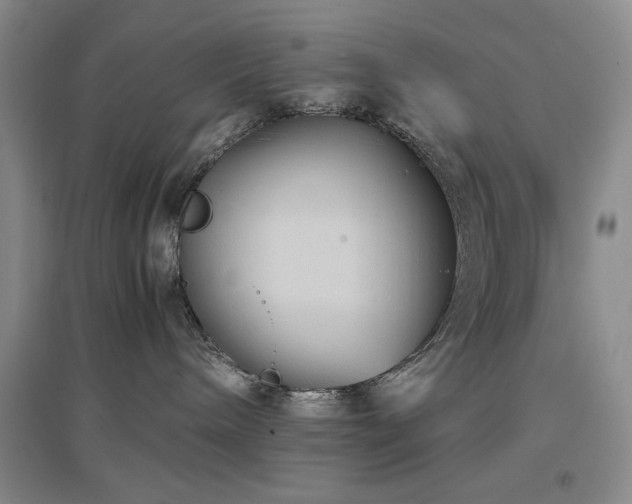 X0000097500240200802221451