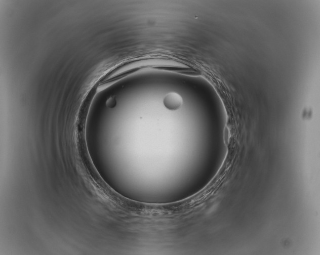 X0000097500242200802221450