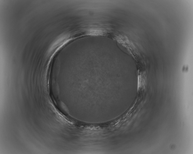 X0000097500243200802221450