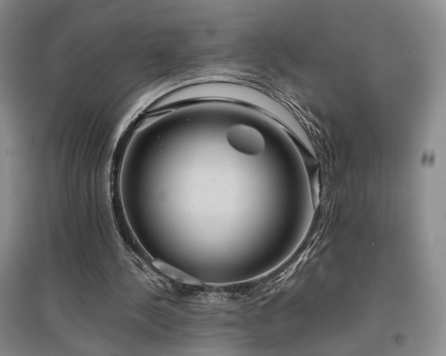 X0000097500244200802221450