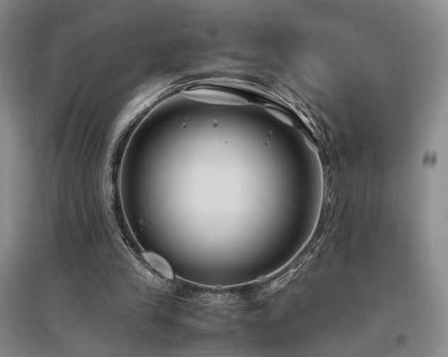 X0000097500245200802221450