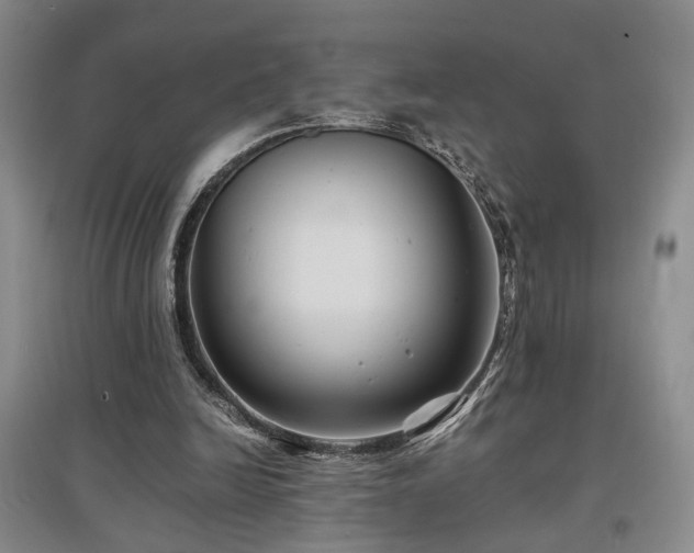 X0000097500246200802221450