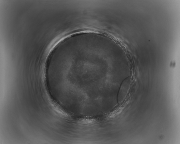 X0000097500247200802221450