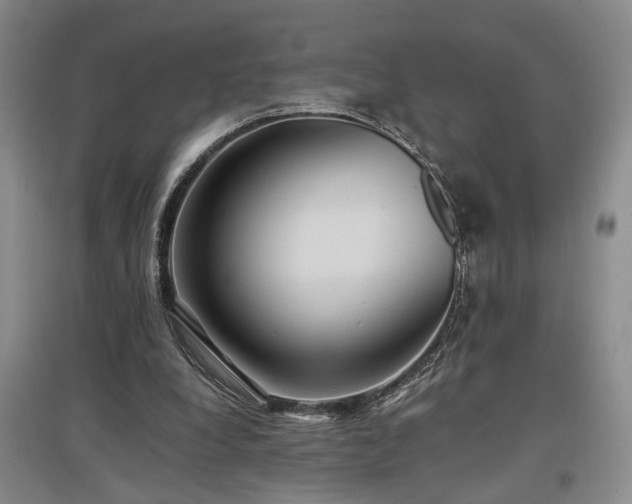 X0000097500248200802221450