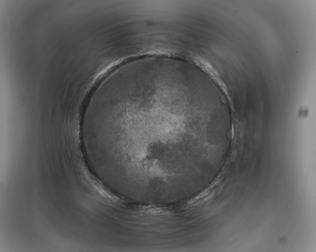 X0000097500249200802221450