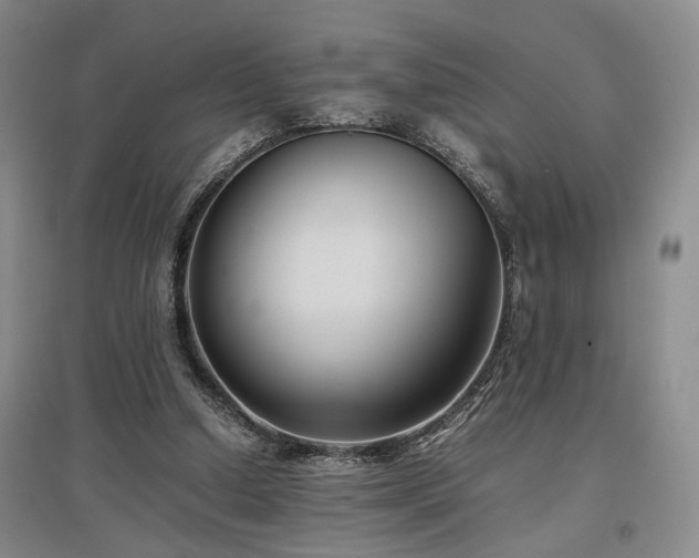 X0000097500250200802221450
