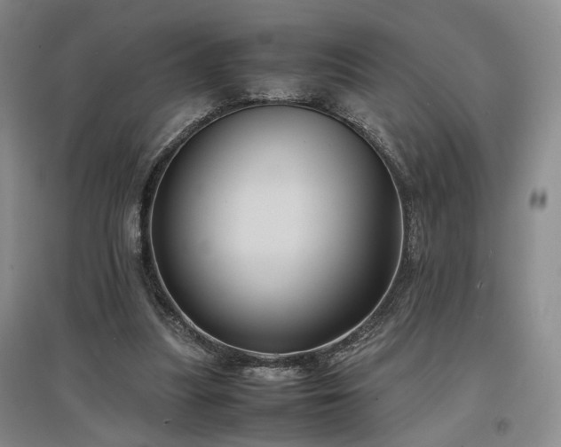 X0000097500251200802221451