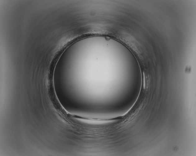 X0000097500252200802221451