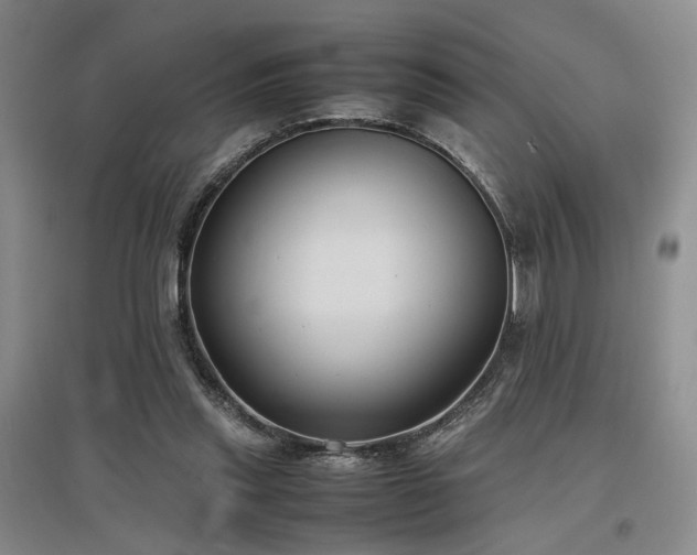 X0000097500253200802221451