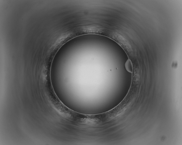 X0000097500255200802221451