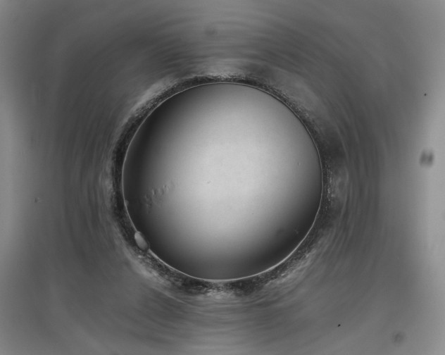 X0000097500256200802221451