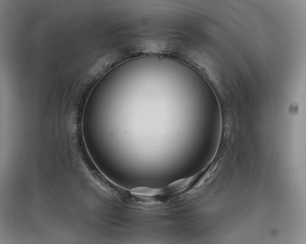 X0000097500257200802221451