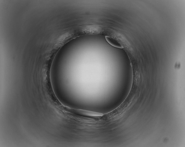 X0000097500259200802221451