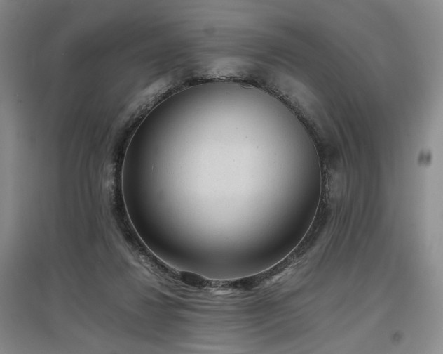 X0000097500260200802221451