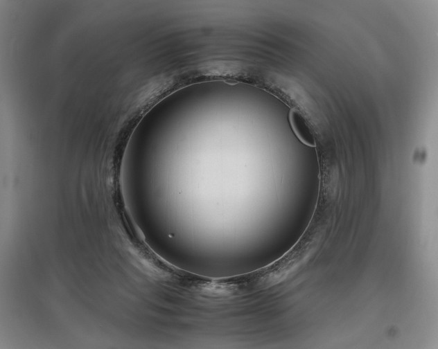 X0000097500261200802221451