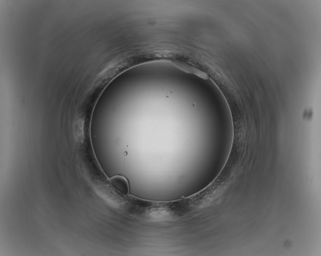 X0000097500262200802221451