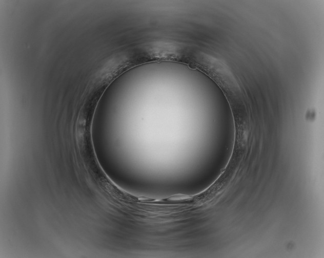 X0000097500263200802221451