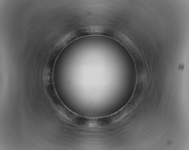 X0000097500264200802221451