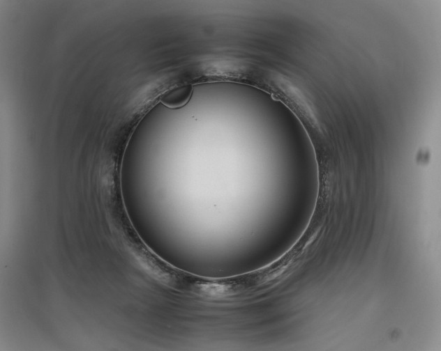X0000097500265200802221451